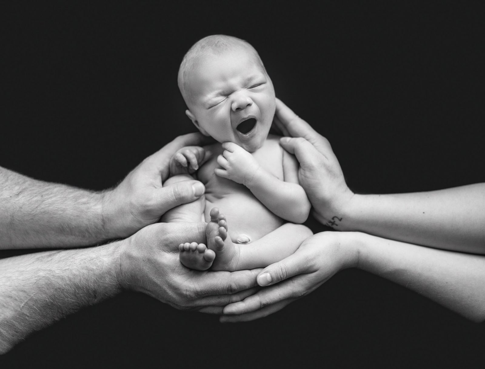 black and white newborn photography by evagud photography